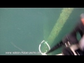 vidéos chasse sous marine hd