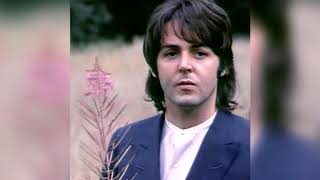 Watch Beatles Why Dont We Do It In The Road video