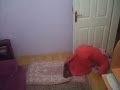 3ajaibe adonya