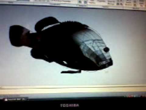 Header of Acanthistius pictus