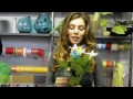 Video Анна Седокова на мастер-классе по флористики от AMF