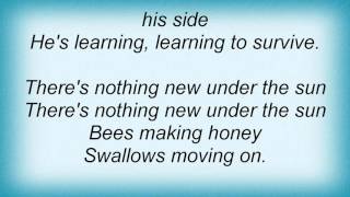 Watch Luka Bloom Nothing New Under The Sun video