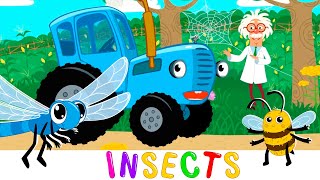 Insects And Bugs Kids Song - Blue Tractor Songs & Cartoons