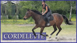 ON PART EN BALADE EN CORDELETTE ! - Galop au milieu des bois
