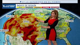 Tairy Ynoa Weather 25