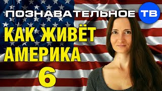 Как живёт Америка 6 (Познавательное ТВ, Наталия Локоть)