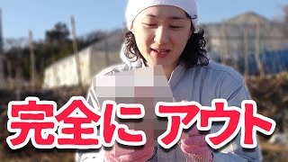 【完結編】道に落ちてる本をガチで探してみたらヤバいもの拾った・・・【注意】