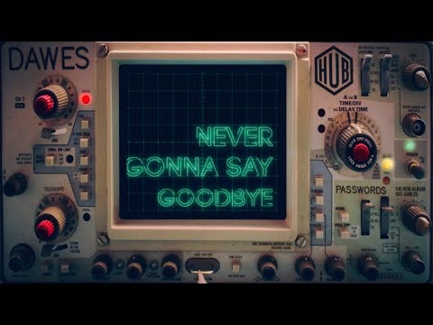 Never Gonna Say Goodbye Video