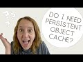 What is Persistent Object Cache and do I need it?