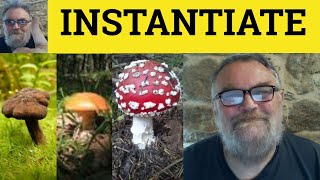 Instantiate Meaning - Instantiation Examples - Instantiate Definition - Formal Vocabulary
