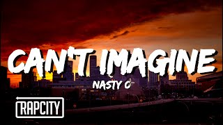 Watch Nasty C Cant Imagine video