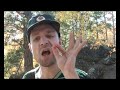 2011 год. Из-за отвратительной экологической