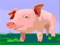 animals