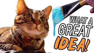 What does it look like when you PAINT A CAT?