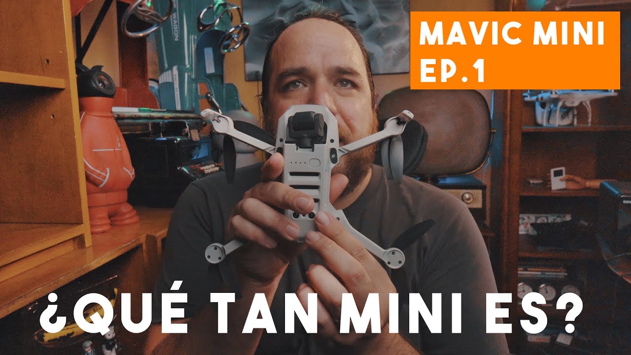 Mavic Mini