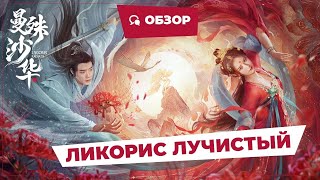 Ликорис Лучистый (Lycoris Radiata, 2022) || Новое Китайское Кино