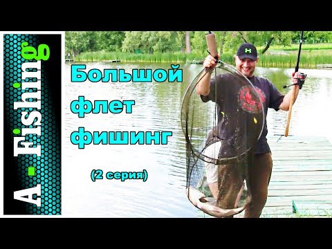топ фидеров 2016 топ фидеров 2016