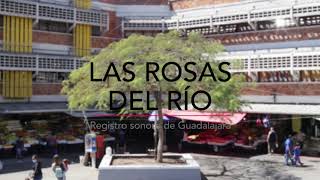 "Las rosas del río" collage sonoro.