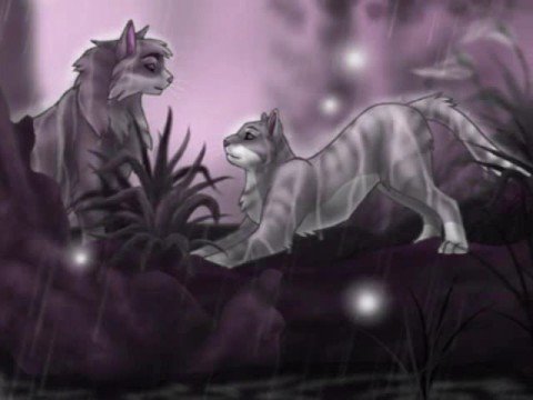 Silverstream From Warriors