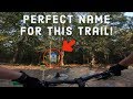 This Trail’s Name is so Accurate! Pocahontas State Park MTB - Richmond VA Mountain Bike Trails