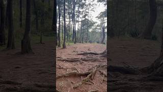 Wright Park, Baguio City