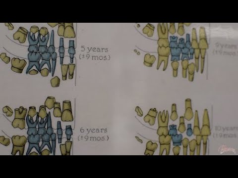 Benson Biz Vidz - Benson Dentistry