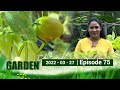 My Garden 27-03-2022