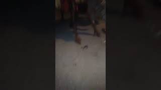 Kujipa Uwezo Wa Ktk Ubora Wetu Super Tanga Talent