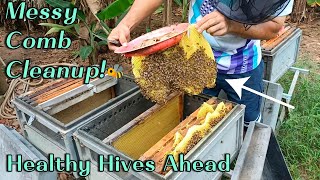 Live Welcome Back To 3Bfarm, Your Friendly Channel About The Daily Life And Care Of Honey Bees