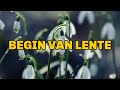 Begin van lente | Heiloo