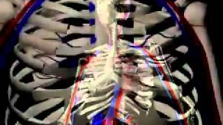 Watch Foundry Road Electric Scar video