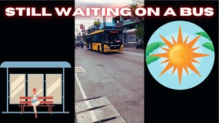 Still Waiting On A Bus