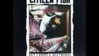 Watch Citizen Fish T V Dinner video