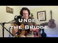 Under the Bridge - Red Hot Chili Peppers (acoustic cover)