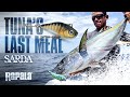 Rapala® | NEW Sarda™