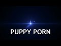 THE LAZY DOG VLOG PUPPY PORN