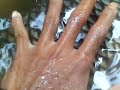 Gurame 5kg Dijual 5jt images Gurame 5kg Dijual 5jt