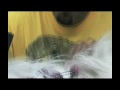 PN7 Promo Video: Tunis