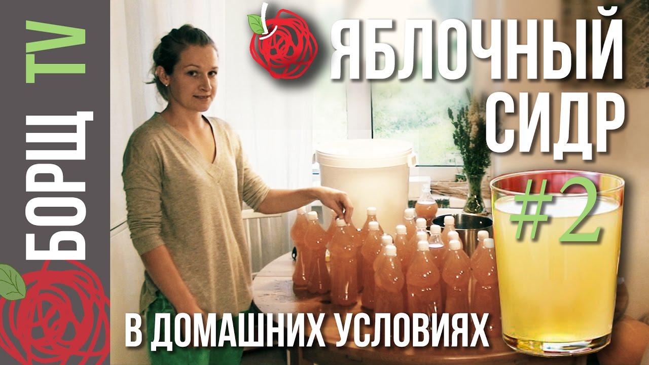 Яблочное вино в домашних условиях рецепт из сока Яблочное вино в домашних условиях рецепт из сока