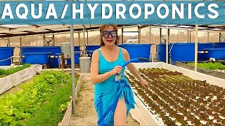 Hydroponic & Aquaponic Gardening for Beginners