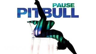 Watch Pitbull Pause video