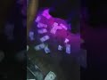 Of Of Kalçalara Bak Be :P