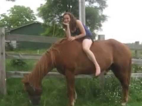 Appleby Horse Fair Appleby Horse Fair