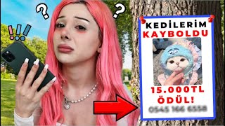 KEDİM KAYBOLDU ! Bulana 15.000 TL Ödül ( Dolandırıldım )