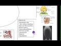 Homeostasis - Ecological Homeostasis Homeostasis - Ecological Homeostasis