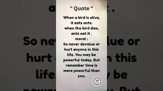 Quotes Vibes Life Lessons Line