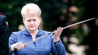 Даля Грибаускайте: Россия - террористическое государство. Комментарий МИД РФ 20.11.2014