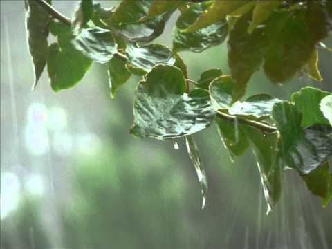 Jao Pakhi-Antaheen VM.wmv