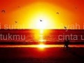 surat cinta untuk ayah.wmv