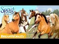 All About Horses | SPIRIT COMES TO LIFE